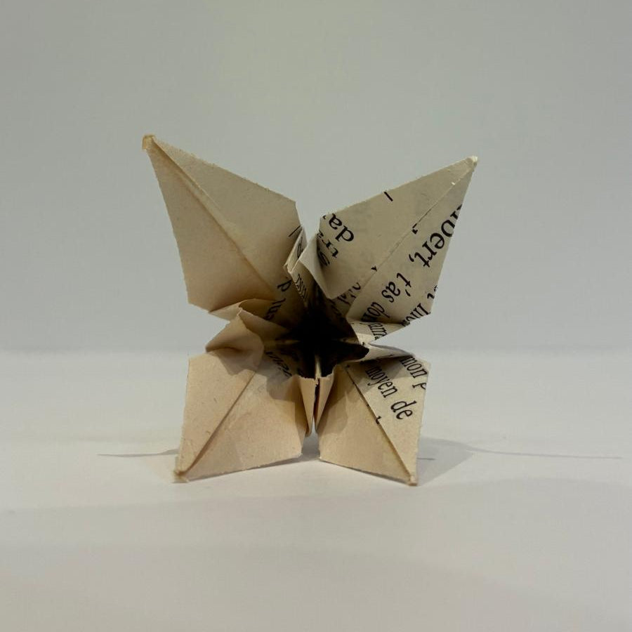 Fleur de lys