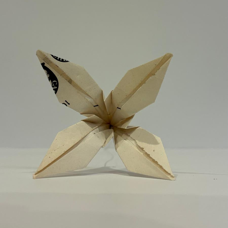 Fleur de lys