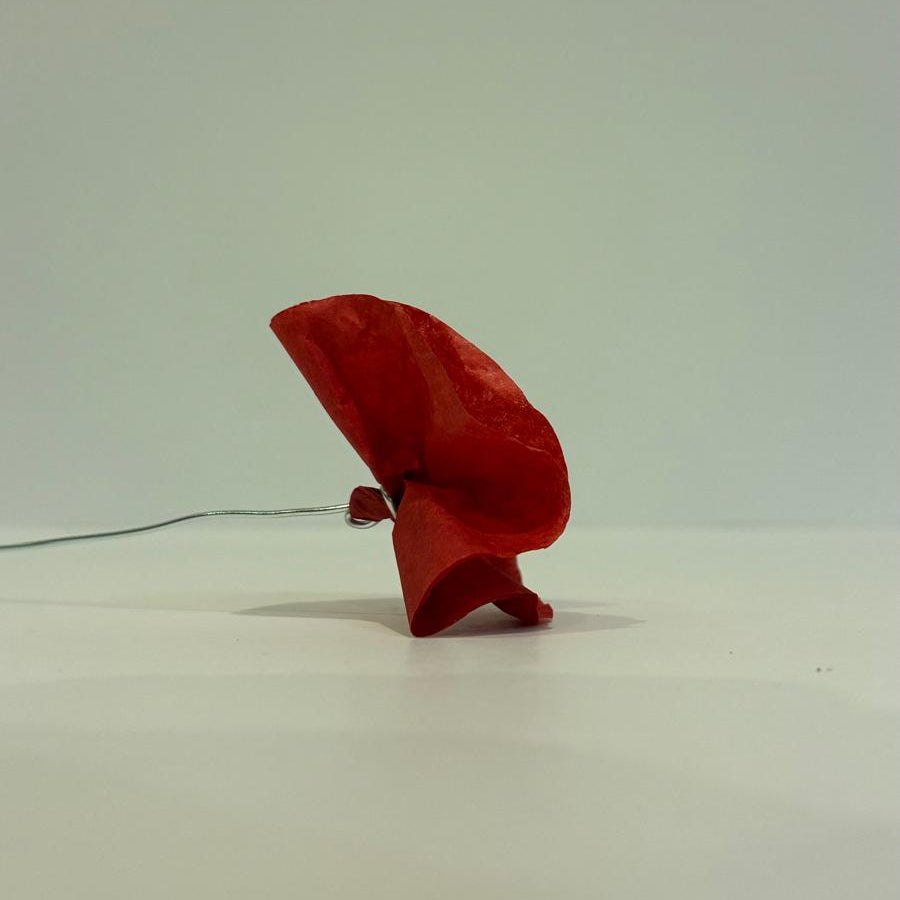 Coquelicot