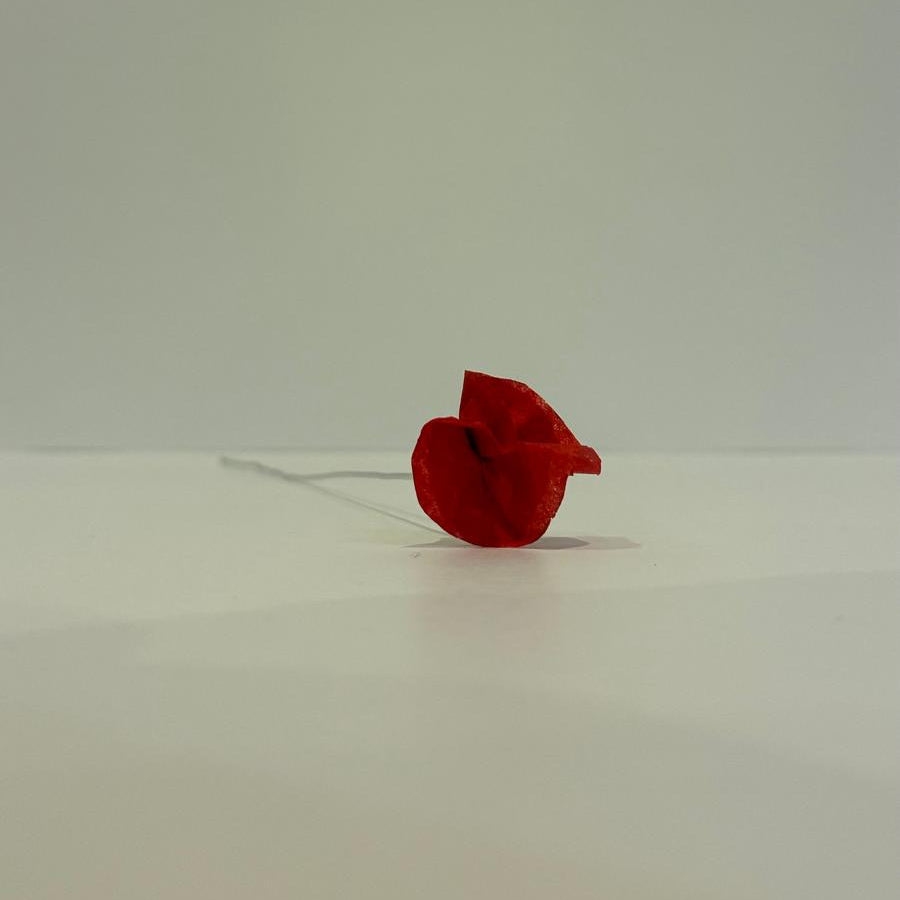 Coquelicot