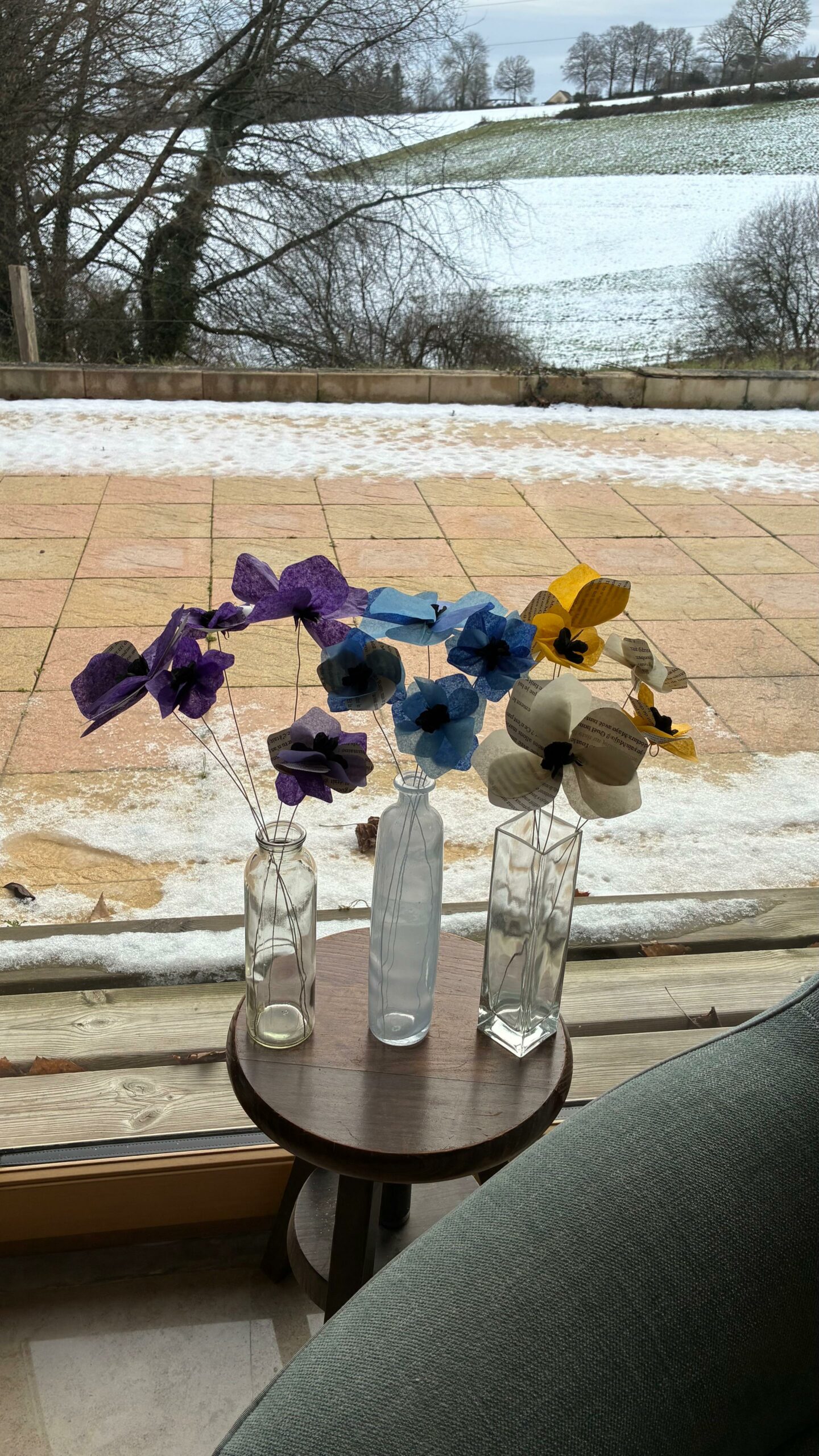 Anémone – Image 2