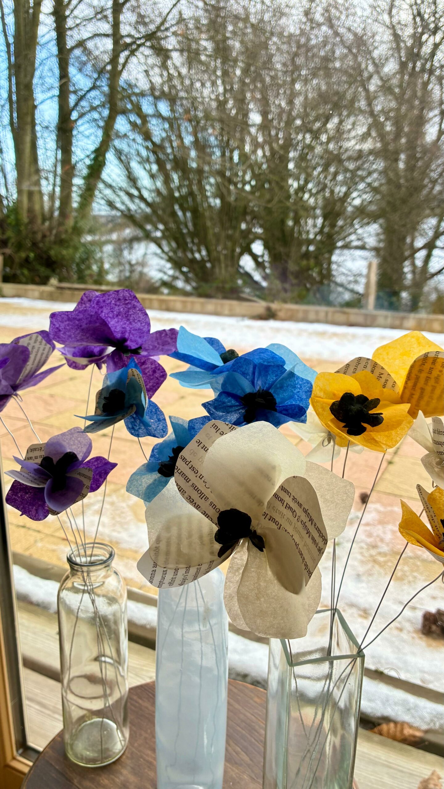 Anémone – Image 3