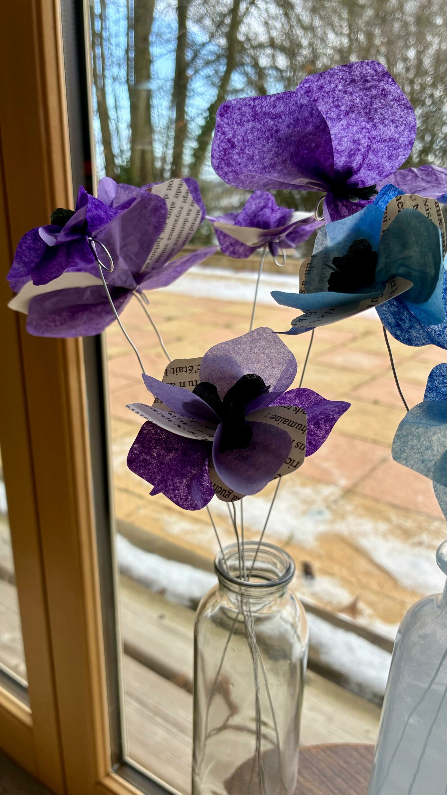 Anémone – Image 6