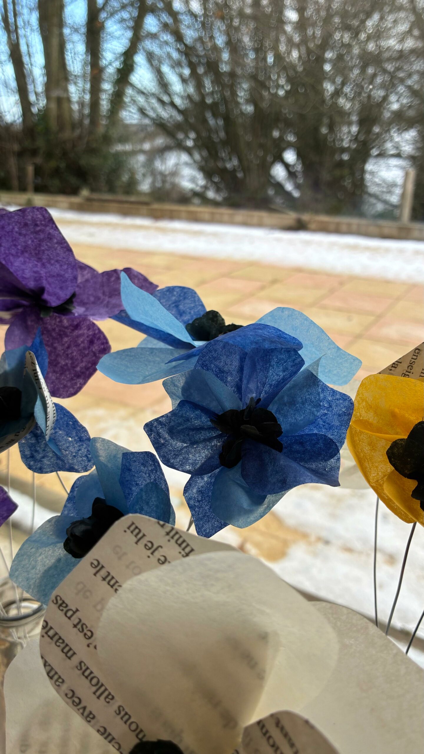 Anémone – Image 7